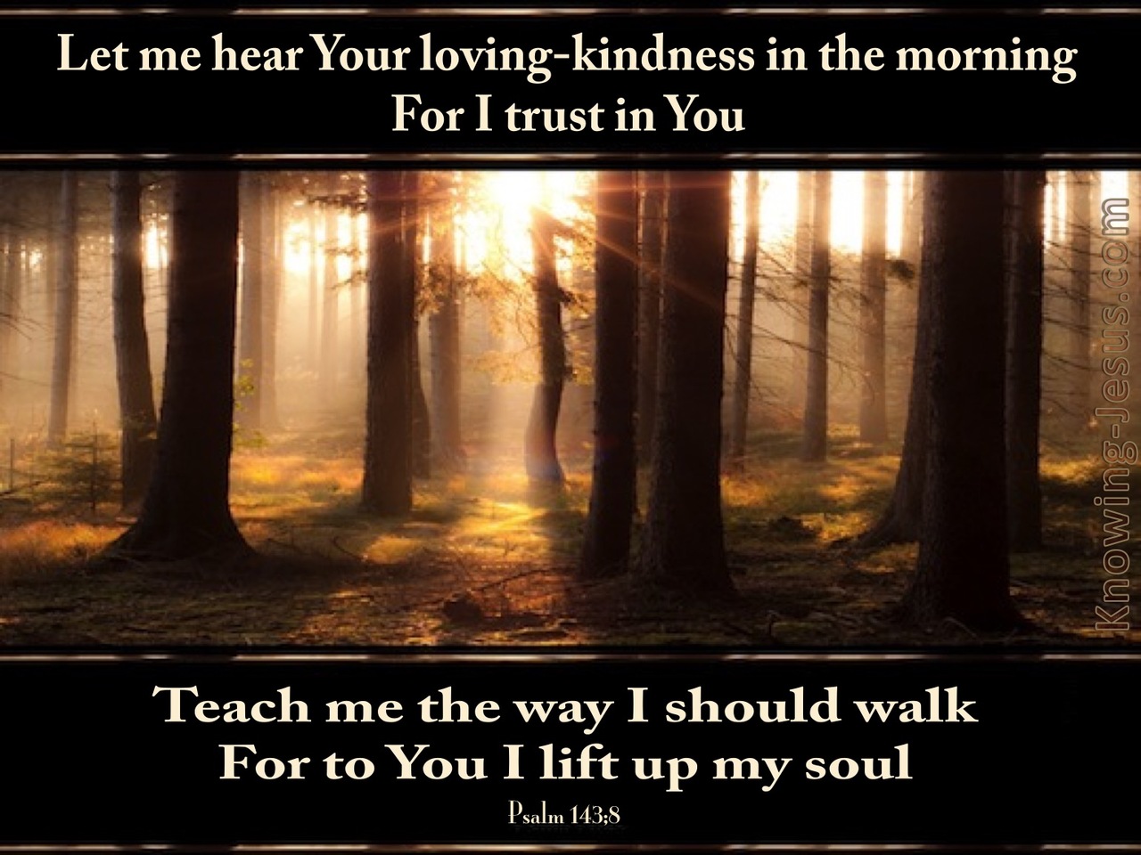 Psalm 143:8 Teach Me The Way I Should Walk (gold)